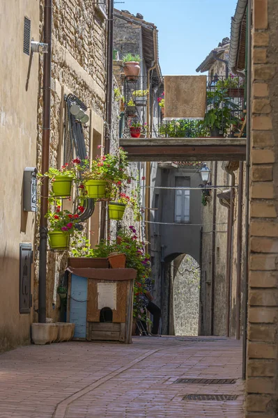 Belles Rues Avec Des Bâtiments Pierre Des Fleurs Dans Centre — Photo