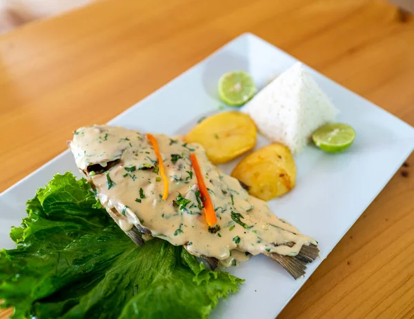 Menier Fish Dengan Kentang Emas Selada Dan Nasi Makanan Peru — Stok Foto