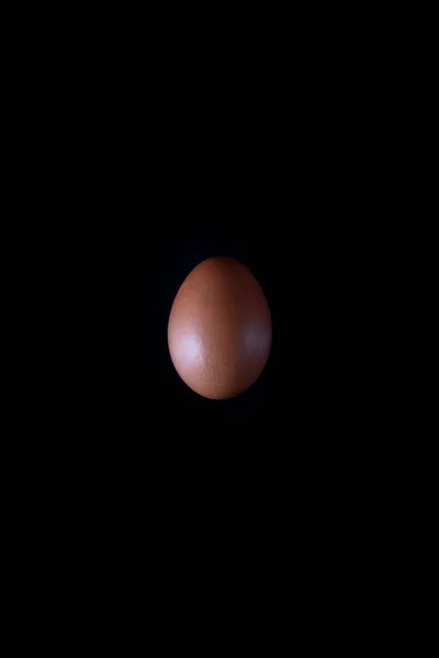 Brown Egg Isolated Dark Background Copy Space — Fotografie, imagine de stoc