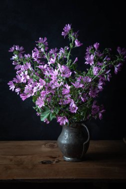 Malva Sylvestris karanlık arka planda eski bir vazo. Yaygın mallow (Malva sylvestris) çiçekleri.