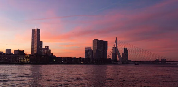 Purple Pink Blue Morning View Skyline Rotterdam Erasmus Bridge Seen — Stok fotoğraf