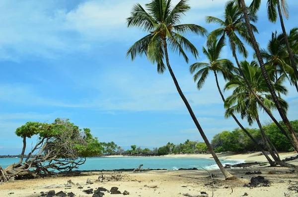 Hawaii 'nin Kona sahilindeki Kekaha Kai Eyalet Parkı' nda gözlerden uzak plajlar..