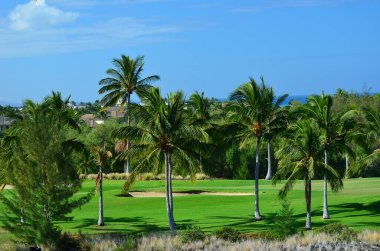 Golf course at Waikoloa Village on The Big Island (Hawaii). In unique lava rock setting.