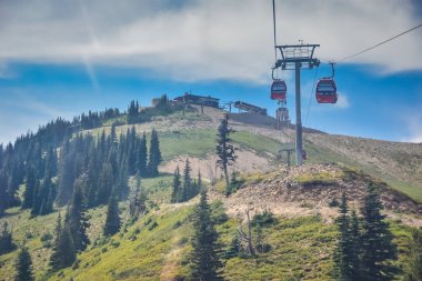 Crystal Mountain Kayak Resort State Park, Washington State, ABD. Gondoldan yaz ortasındaki zirvenin görüntüsü.