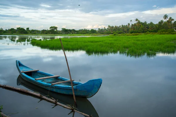 Mavi renkli ahşap tekne - Geri kalmış fotoğrafçılık, palmiye ağaçları ve eski kulübesi olan tipik manzara, Kerala Backwaters, Kerala durgun fotoğrafçılık gündüz Kadamakkudy Kerala