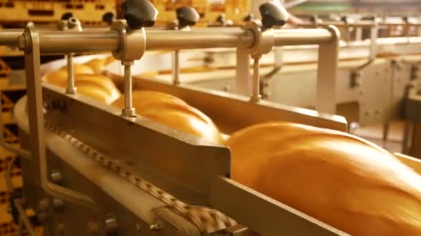 Свежеиспеченный Хлеб Багет Идет Вдоль Ленты Погрузки Упаковки Мастерскую Пекарни — стоковое видео