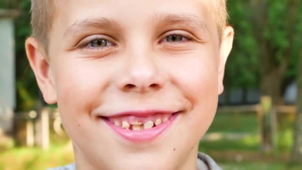 かわいい男の子の肖像7歳 その少年は微笑んだ 背景にある緑の公園 — ストック動画