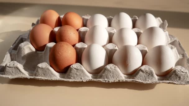 Een Onherkenbare Vrouwelijke Hand Schuift Kippeneieren Een Verpakking Eieren Koken — Stockvideo