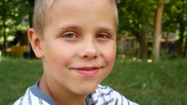 一个6 7岁可爱的快乐男孩的画像 那孩子看着镜头 有时露出微笑 城市公园的绿树成荫 — 图库视频影像
