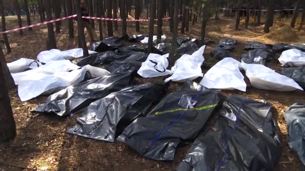 Muitos Sacos Pretos Floresta Com Corpos Humanos Exumados Pessoas Morreram — Vídeo de Stock