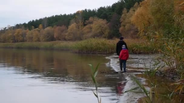 父と息子は晩秋に湖の岸に沿って歩く 横には秋の黄色い森が見える 野生動物の散歩 父と息子 家族の休暇 — ストック動画
