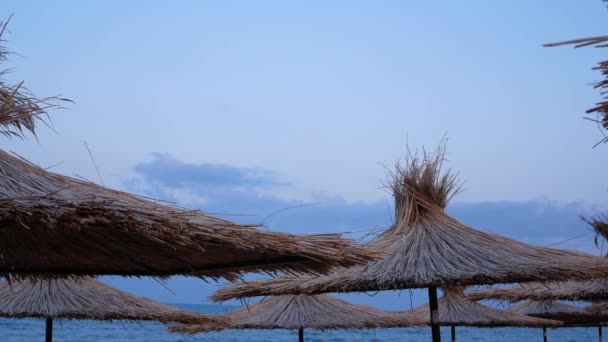 青い空に対して日没時に海によってビーチでの目覚めの傘を投げます カモメが空を飛ぶ 海による休息の概要シーン — ストック動画