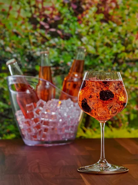 Bottles Glass Blackberry Flavored Apple Cider Garden Background Shallow Focus — Stock Photo, Image