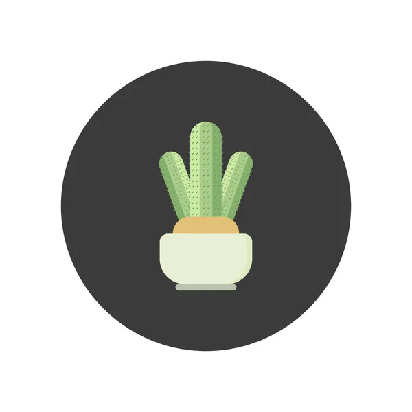 Cactus Flat Design Vector Illustration Isolated White Background Green Plant — Stock Vector