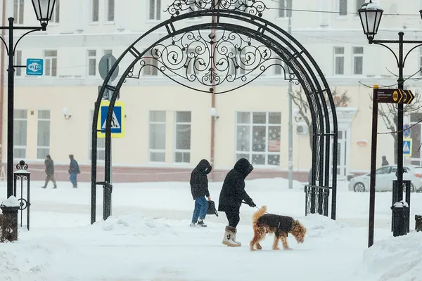 Eine Frau Geht Schneesturm Mit Ihrem Hund Spazieren Ein Spaziergang — Stockfoto