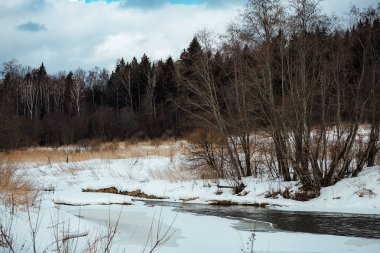 Karlar altında aşırı gelişmiş bankaların olduğu bir kış nehri manzarası. Saf buzlu kaynak suyu. İnsansız doğa