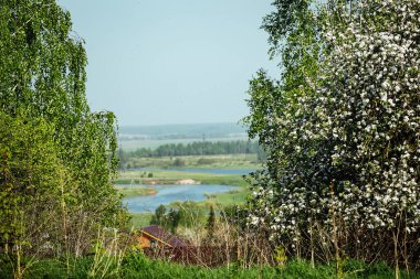 Uçurumun kenarında çiçek açan bir elma ağacı. Nehir vadisinin güzel manzarası aşağı iniyor