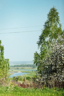 Uçurumun kenarında çiçek açan bir elma ağacı. Nehir vadisinin güzel manzarası aşağı iniyor