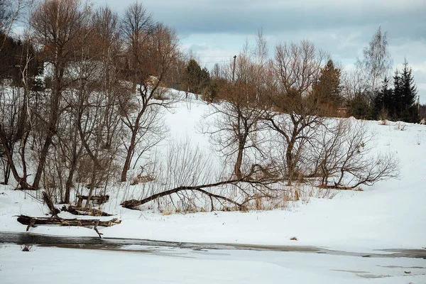 Landschaft Eines Winterbaches Mit Zugewucherten Ufern Unter Schnee Eisreines Quellwasser — Stockfoto