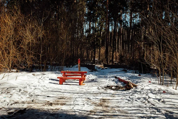 Sonniger Winterweg Wald Schöne Schatten Von Bäumen Schnee Natur Ohne — Stockfoto