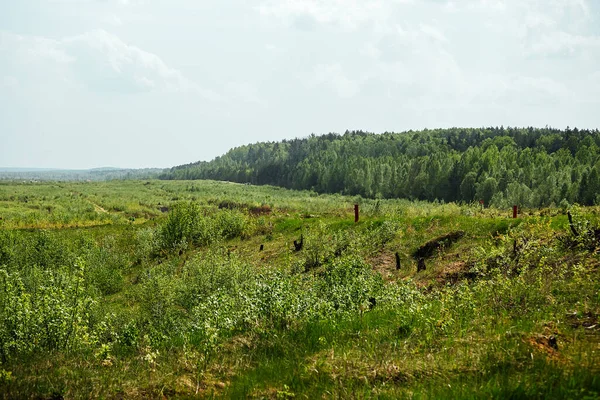 shooting range for army exercises. a field with targets for shooting soldiers