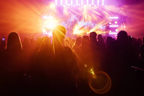 Silhouette Des Publikums Bei Einem Musikkonzert Tanzt Und Applaudiert Das — Stockfoto