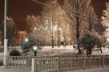 Kışın parkta bir gece sokağı. Ağaçların dalları beyaz buzla kaplıdır. İnsanlar olmadan güzel, huzurlu, soğuk bir manzara.