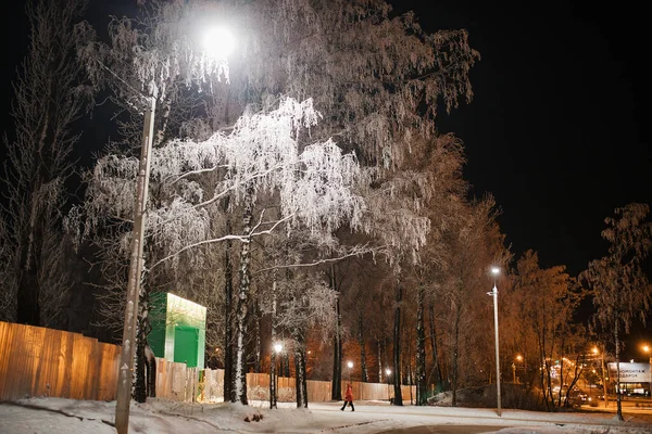 Nachtgasse Park Winter Die Äste Der Bäume Sind Mit Weißem — Stockfoto
