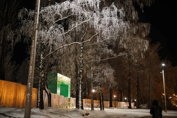 Nachtgasse Park Winter Die Äste Der Bäume Sind Mit Weißem — Stockfoto