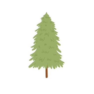 Çam ağacı. Vektör karikatür çizimi beyaz arkaplanda izole edildi.