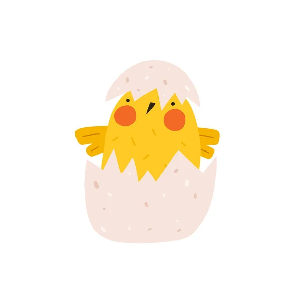 Bonita gallina amarilla nacida del huevo. Recién nacido pequeño polluelo divertido surgimiento de huevo. Elementos para diseños de Pascua. Dibujos animados vector ilustración. — Vector de stock