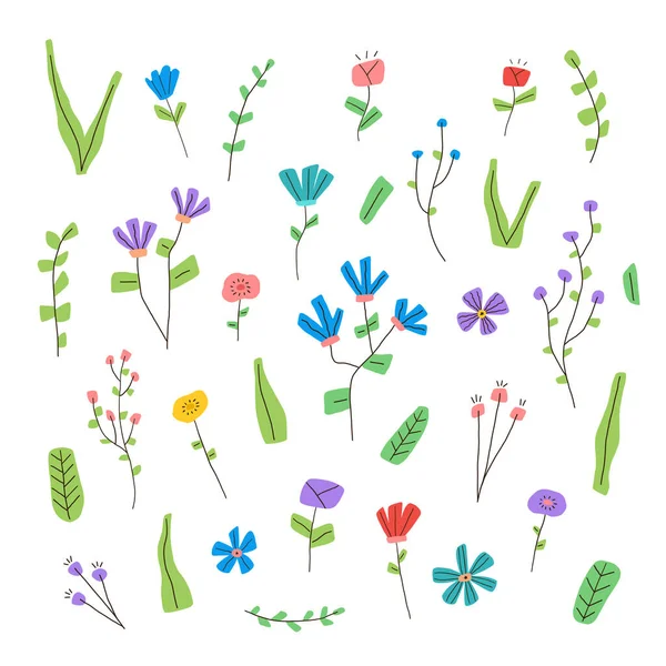 Colección de flores, hojas y plantas dibujadas a mano. Elementos botánicos modernos y modernos abstractos. Dibujos animados ilustración vector plano. — Vector de stock