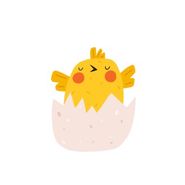 Yumurtadan çıkan sevimli sarı tavuk yavrusu. Yeni doğmuş küçük komik civciv yumurtadan çıkıyor. Paskalya tasarımları için elementler. Çizgi film vektör illüstrasyonu