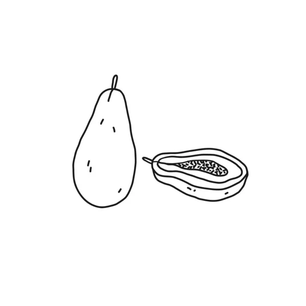 Papaya outline icon. Fruit, healthy nutrition, organic food. Hand drawn line vector illustration