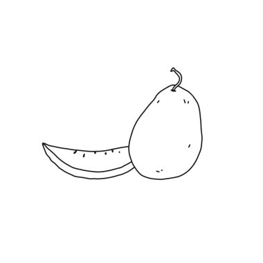 Kavun çizgisi simgesi. Meyve, sağlıklı beslenme, organik gıda. El çizimi vektör çizimi