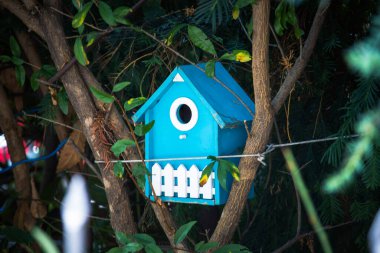 Ağaçtaki mavi kuş evi