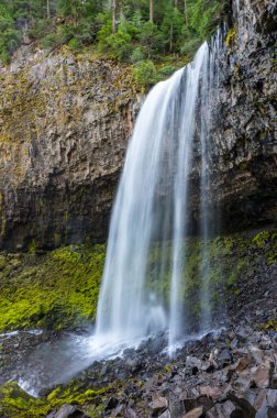 Tamanawas Şelalesi Hood Ulusal Ormanı, Oregon