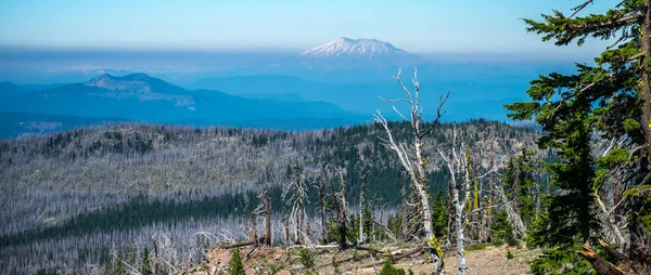 Widok Mount Saint Helens Góry Adams — Zdjęcie stockowe