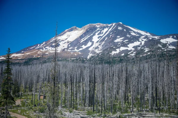 Vista Del Monte Adams Washington — Foto de Stock