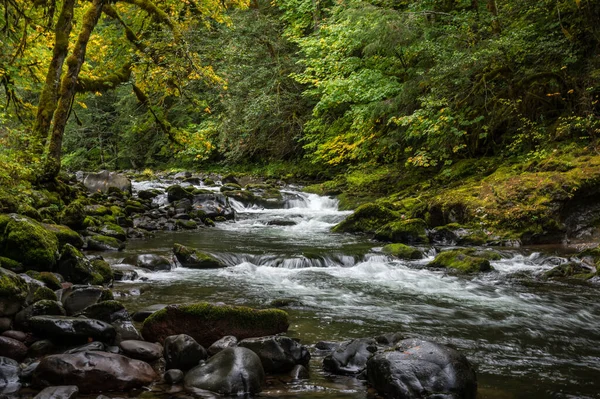 Lososová Řeka Oregonu — Stock fotografie