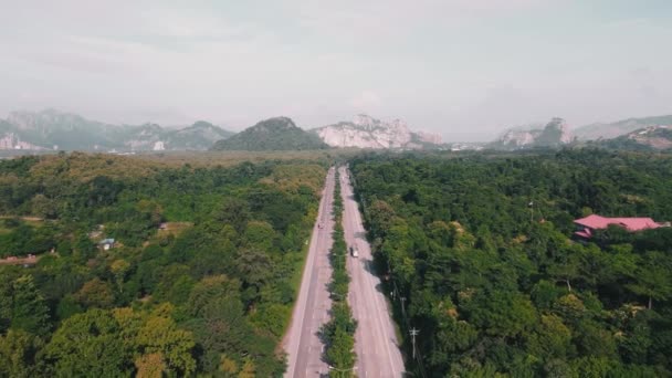 Vista Aerea Paesaggio Verde Foresta Con Strade Montagne Sfondo — Video Stock