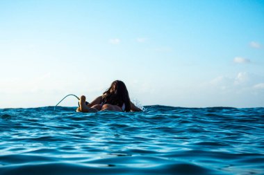 Okyanusta sörf tahtasında güzel vücutlu sörfçü kızın portresi. Bal 'da renkli günbatımı saatinde.