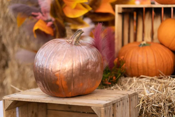 Una Calabaza Pintada Con Pintura Dorada Encuentra Una Caja Madera —  Fotos de Stock