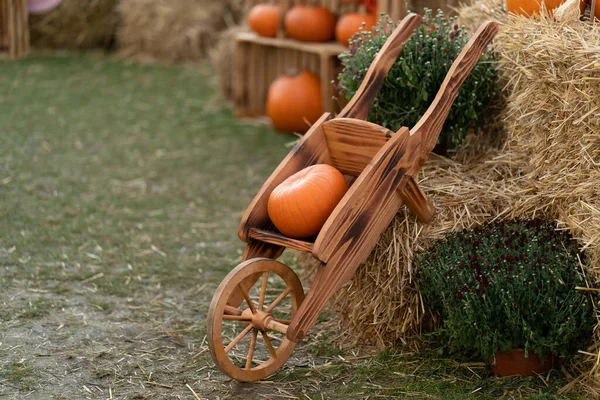 Calabaza Encuentra Carro Madera Rústico Vintage Agrícola Cerca Las Pacas —  Fotos de Stock