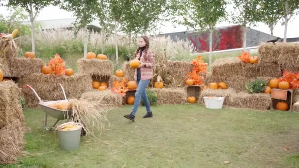 Farmářka Nakládá Bohatou Sklizeň Kukuřice Dýní Zemědělského Vozíku Podzim Října — Stock video