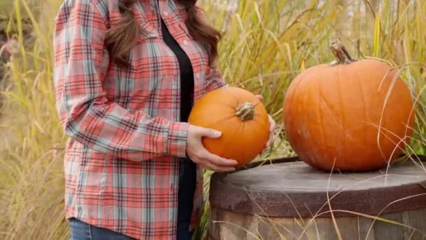 Young Farmer Woman Inspects Weighs Small Large Pumpkin Which Lie — Stock Video