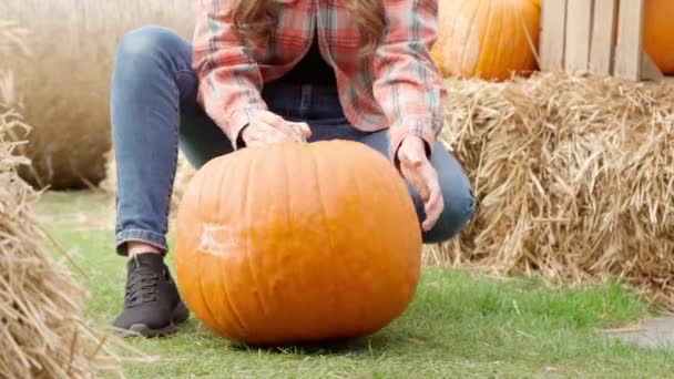 Une Jeune Agricultrice Inspecte Retourne Une Énorme Citrouille Orange Couchée — Video