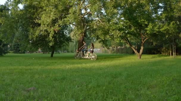 木の枝の下の公園の草の上に晴れた夏の日に一緒に歩いてください 彼らは 彼らの手でタンデムダブル自転車をプッシュし — ストック動画