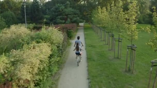 在一个阳光明媚的夏天 一对年轻夫妇 一男一女 骑着双座双人自行车 沿着公园的一条小径在树间漫步 — 图库视频影像