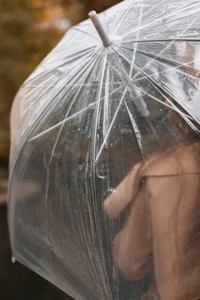 Sonbaharda Yağmurda Şeffaf Şemsiyeli Bir Model Yakın Plan Arka Plan — Stok fotoğraf